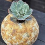 4A015A21-9297-4F54-9335-691C8BAEE626